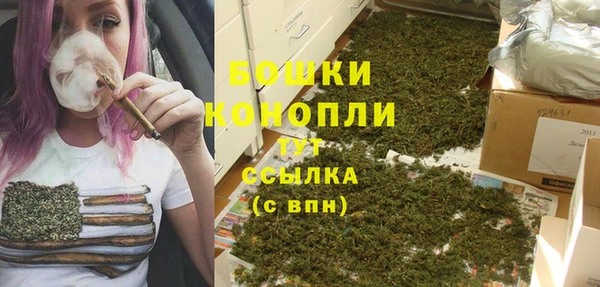 apvp Гусь-Хрустальный