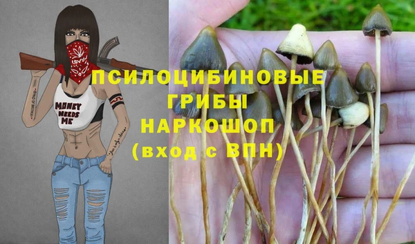 apvp Гусь-Хрустальный