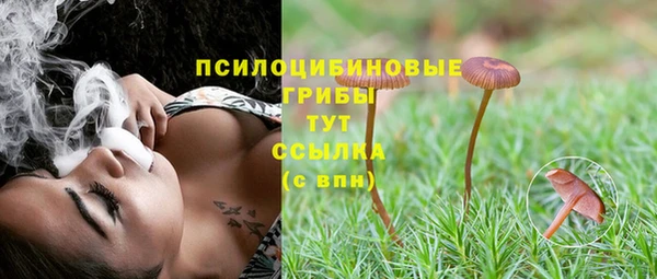 apvp Гусь-Хрустальный