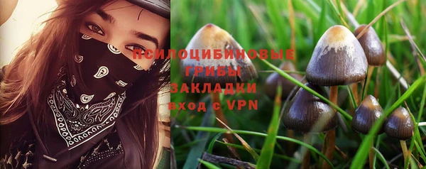 apvp Гусь-Хрустальный